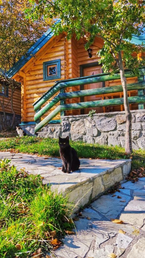 Kozak Apartments & Restaurant Мойковац Экстерьер фото