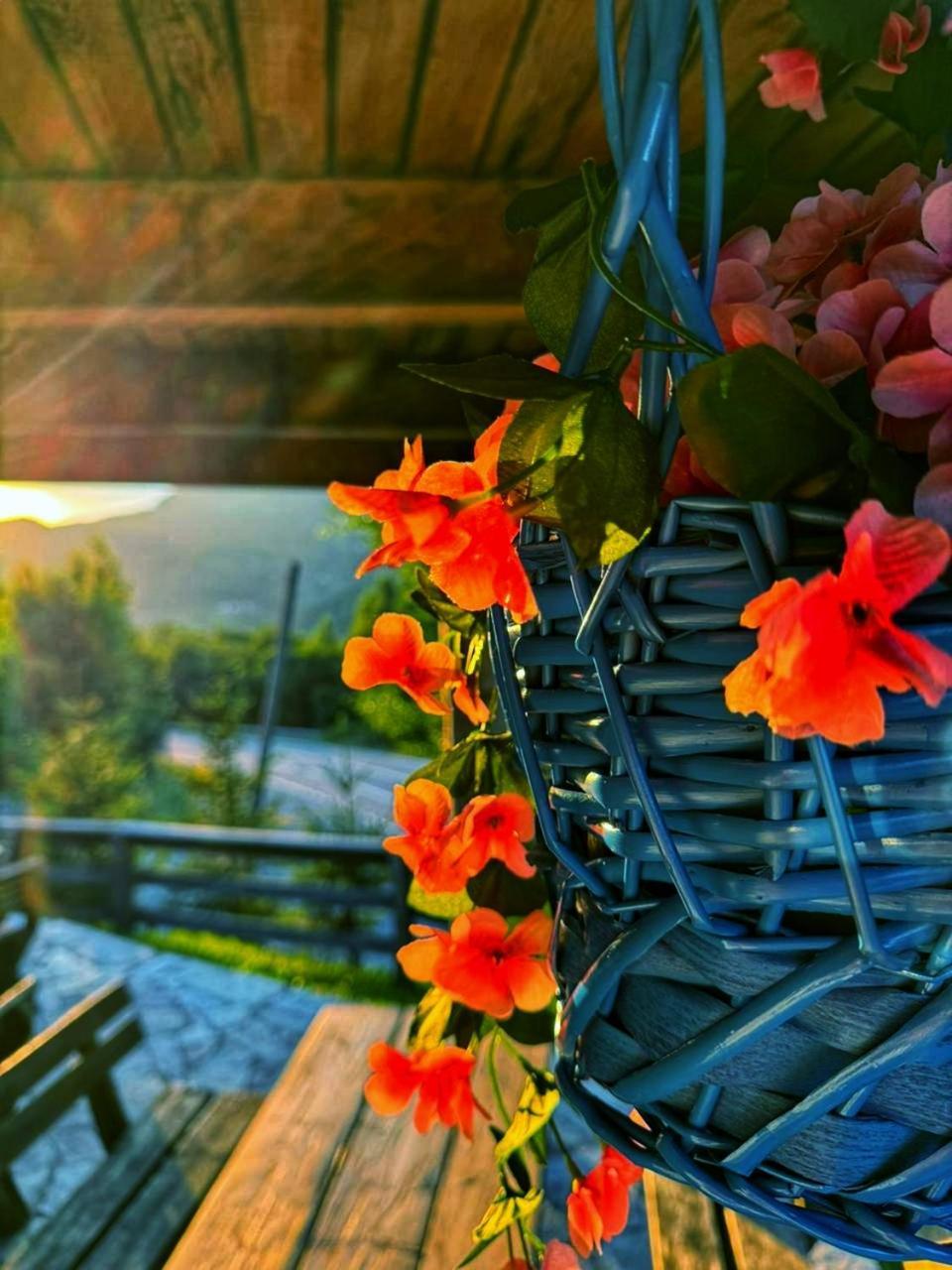Kozak Apartments & Restaurant Мойковац Экстерьер фото
